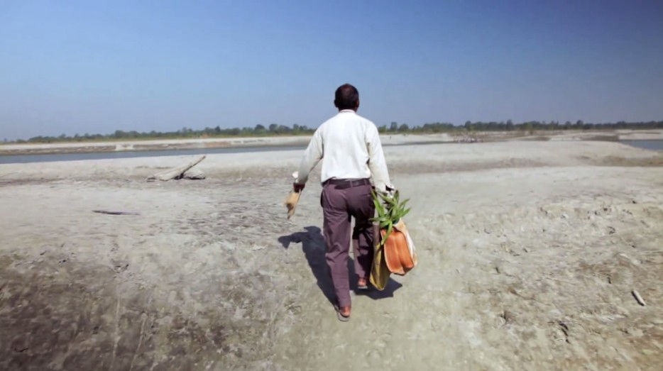 印度一岛民坚持种树35年,将550公顷荒岛变森林--置顶表情